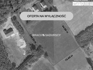 Zdjęcie 15947991