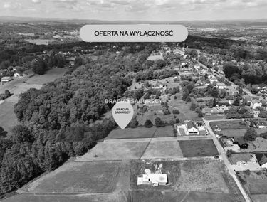 Zdjęcie 15948071