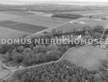 Zdjęcie 15948751
