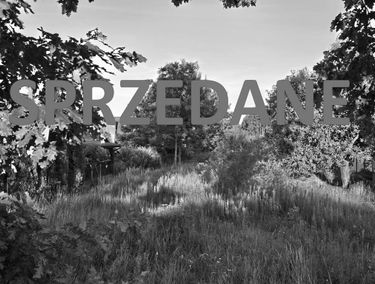 Zdjęcie 15948825
