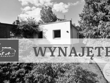 Zdjęcie 15949539