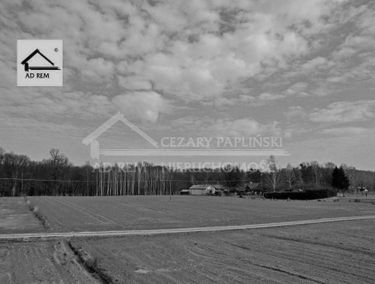 Zdjęcie 15949668