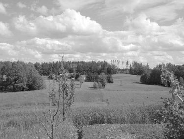 Zdjęcie 15949979