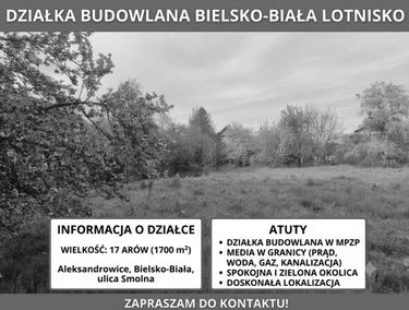 Zdjęcie 15950174