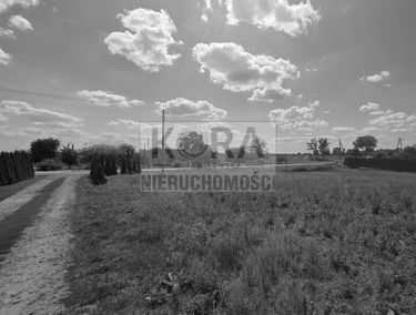 Zdjęcie 15950325