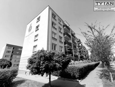 Zdjęcie 15950545