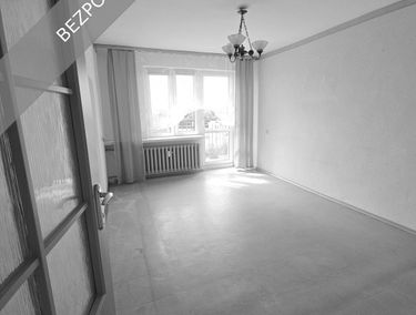 Zdjęcie 15950608