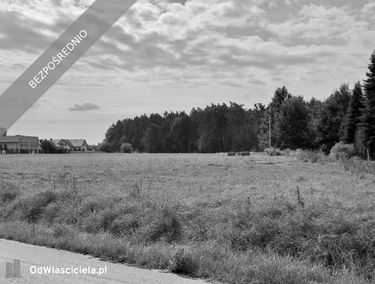 Zdjęcie 15953117