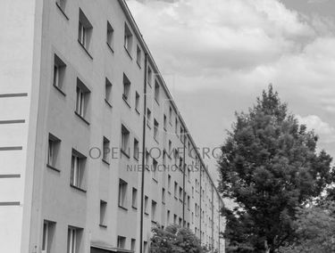 Zdjęcie 15954204