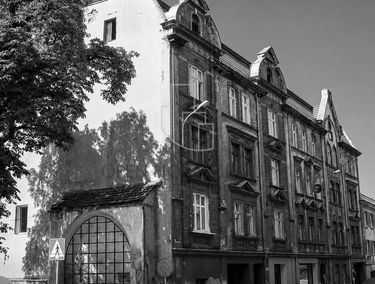 Zdjęcie 15954538