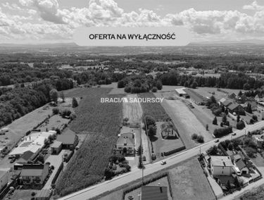 Zdjęcie 15954686