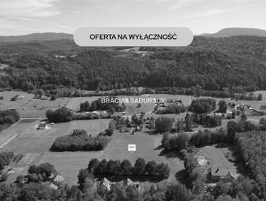 Zdjęcie 15954703
