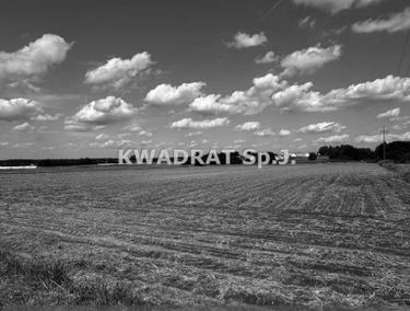 Zdjęcie 15955115