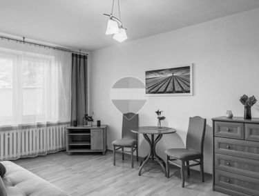 Zdjęcie 15955277