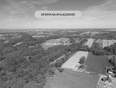 Zdjęcie 15955814