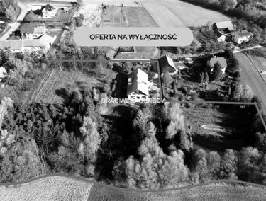 Zdjęcie 15955818