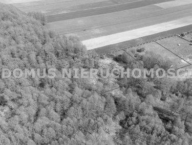Zdjęcie 15959149