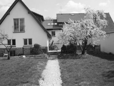 Zdjęcie 15960466
