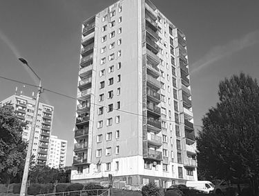 Zdjęcie 15962476