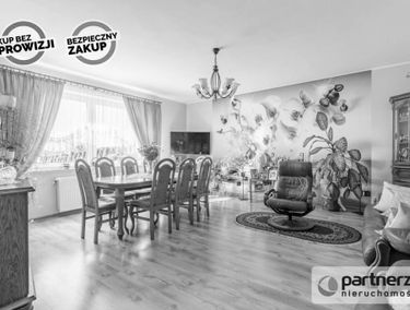 Zdjęcie 15964452