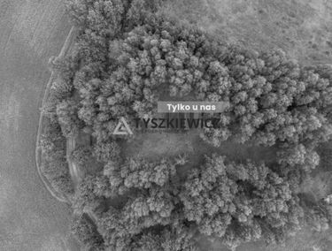 Zdjęcie 15964549