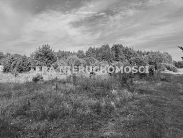 Zdjęcie 15965635