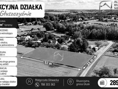Zdjęcie 15966175
