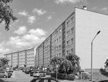 Zdjęcie 15966382