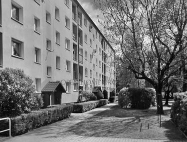 Zdjęcie 15968109