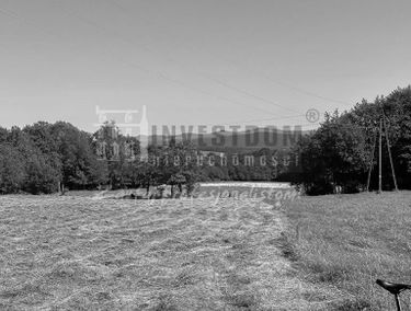 Zdjęcie 15969078