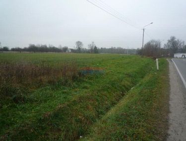 Zdjęcie ogłoszenia