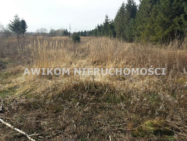 Zdjęcie 7268433 - 1