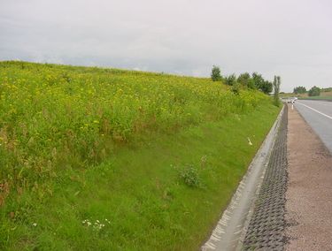 Zdjęcie 8271943 - 3