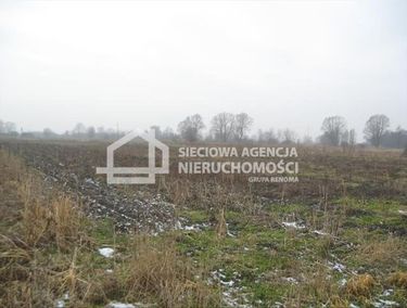 Zdjęcie ogłoszenia