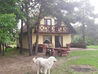 Zdjęcie ogłoszenia