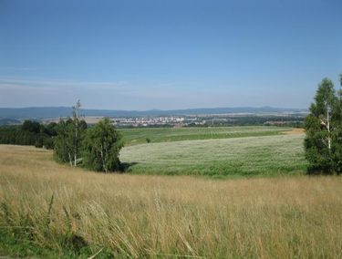 Zdjęcie ogłoszenia