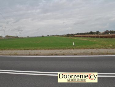 Zdjęcie 12743262 - 1