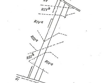 Zdjęcie 12780205 - 1