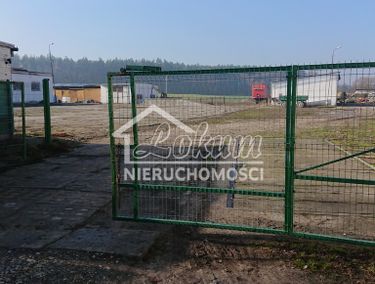 Zdjęcie 12963066 - 2