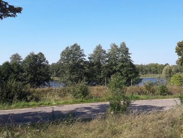 Zdjęcie 13425484 - 9