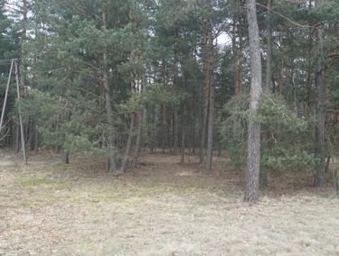 Zdjęcie ogłoszenia