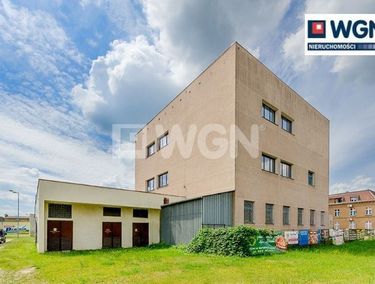 Zdjęcie 13860019 - 6
