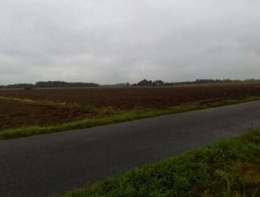Zdjęcie ogłoszenia