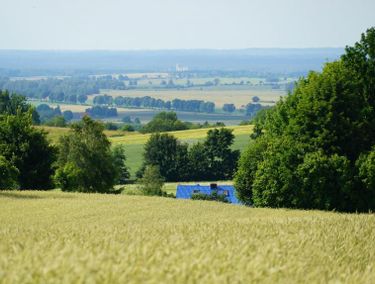 Zdjęcie ogłoszenia