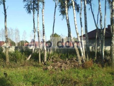 Zdjęcie ogłoszenia