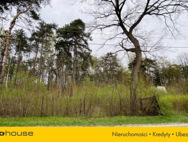 Zdjęcie ogłoszenia