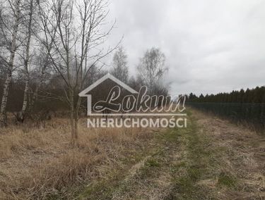 Zdjęcie 14278529 - 1