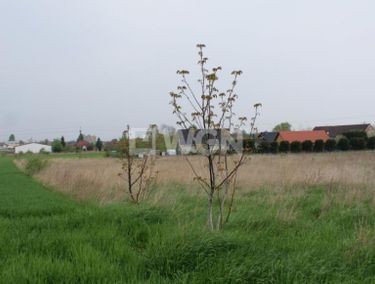 Zdjęcie ogłoszenia