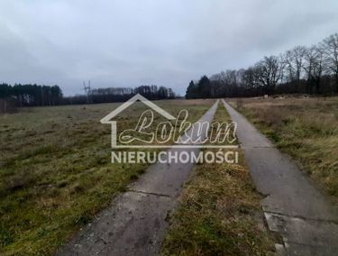 14295166 - zdjęcie ogłoszenia