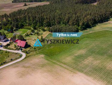 Zdjęcie 14346497 - 1